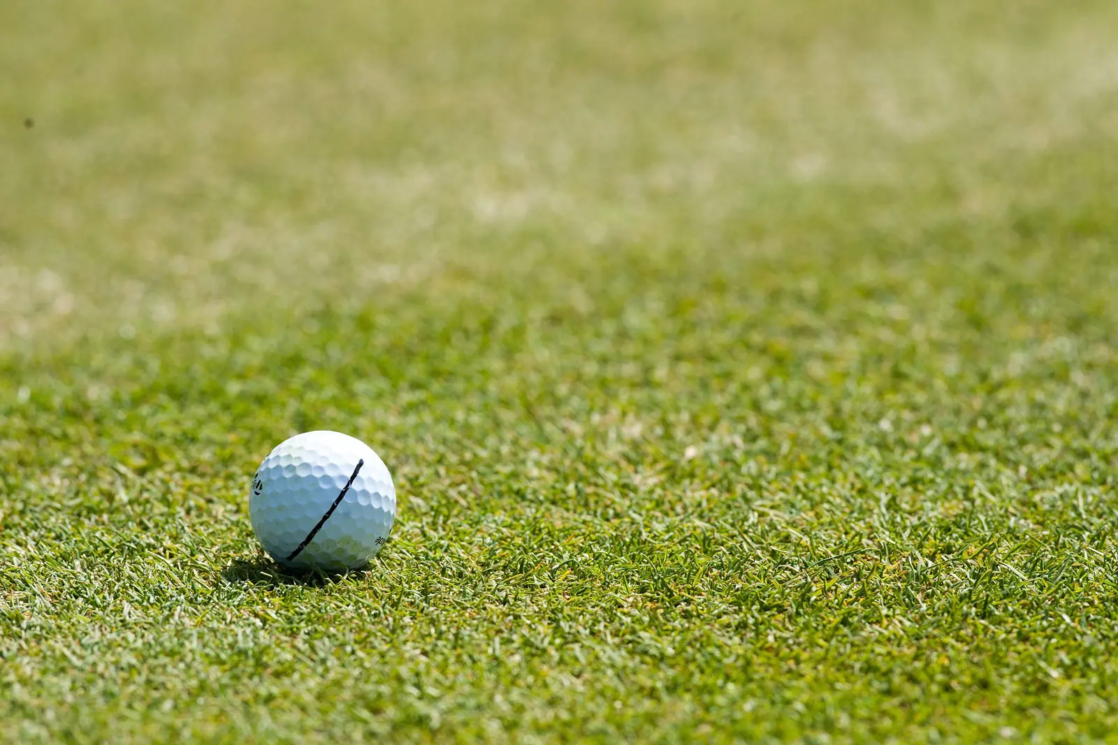 Golfball im halbhohen Gras neben dem Fairway